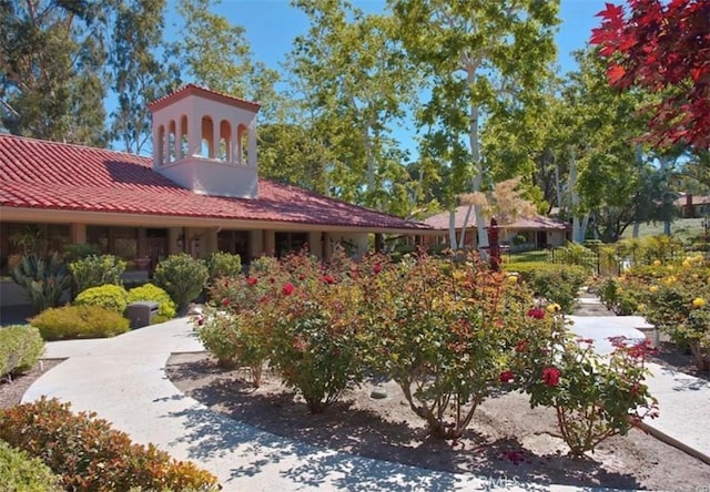 23452 Villena, Mission Viejo, CA 92692 - photo 57