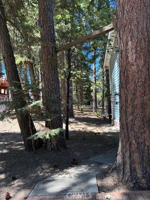 32079 Fern Dr, Running Springs, CA 92382 - view of yard