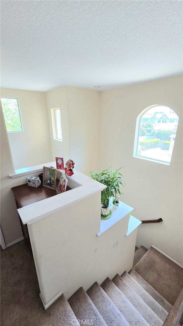 1063 S Reservoir St, Pomona, CA 91766 - photo 8