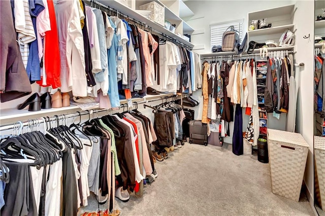 48692 Pear St, Indio, CA 92201 - spacious closet with carpet floors