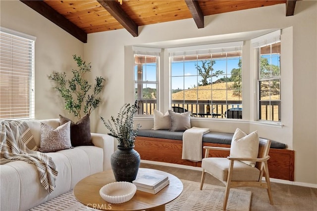 4826 Meadow Lark Ln, Paso Robles, CA 93446 - photo 6