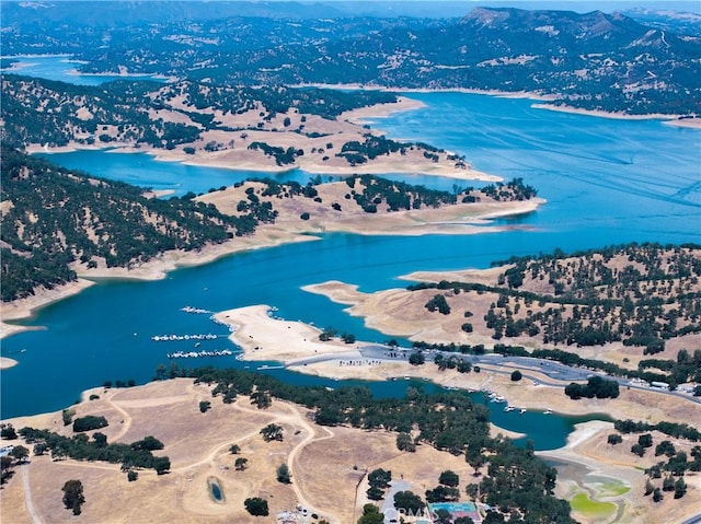 4826 Meadow Lark Ln, Paso Robles, CA 93446 - bird's eye view of a nearby body of water