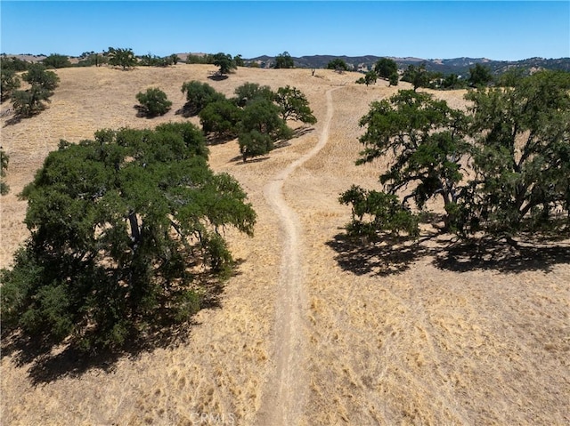 4826 Meadow Lark Ln, Paso Robles, CA 93446 - photo 26