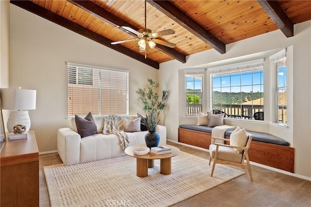 4826 Meadow Lark Ln, Paso Robles, CA 93446 - photo 4