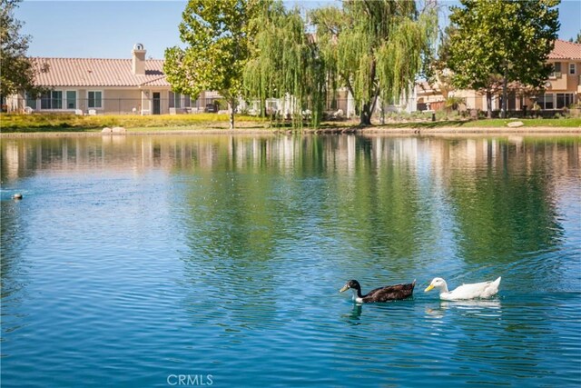 13025 Bowker Play Ct, Beaumont, CA 92223 - photo 43