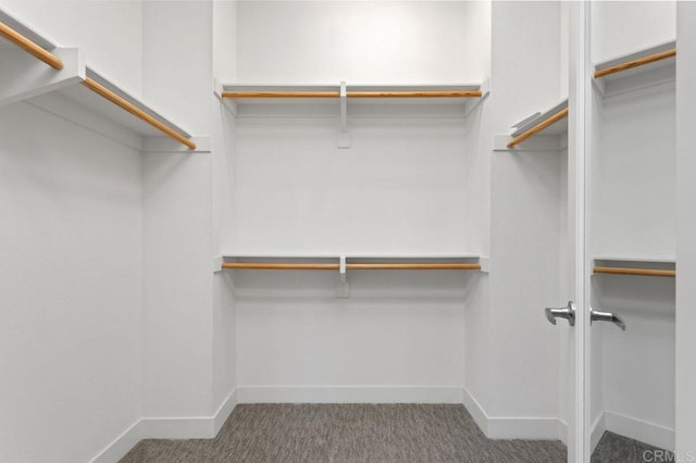 3141 Dega Pl, Carlsbad, CA 92010 - spacious closet with carpet floors