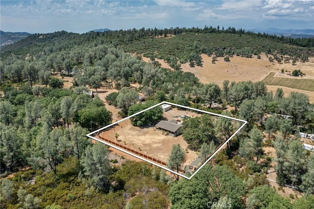 18501 Rustic Ridge Rd, Lower Lake, CA 95457 - photo 8
