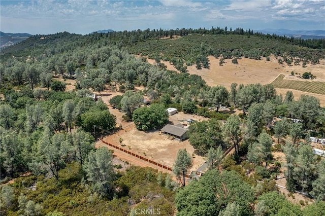 18501 Rustic Ridge Rd, Lower Lake, CA 95457 - photo 9