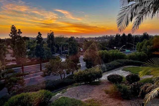 6779 Palermi Pl, Carlsbad, CA 92011 - view of property's community