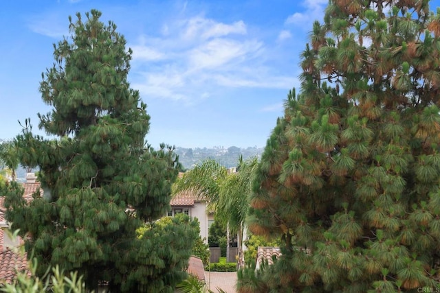 6779 Palermi Pl, Carlsbad, CA 92011 - photo 32