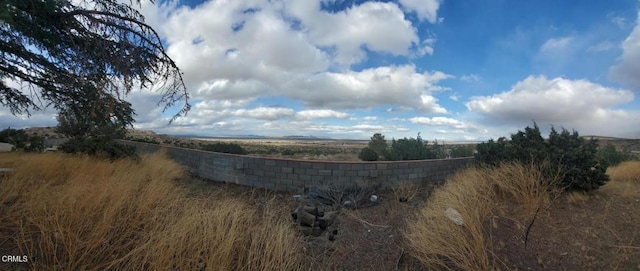 32756 121st St E, Pearblossom, CA 93553 - view of yard