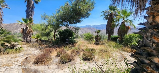 45342 State Highway 74, Hemet, CA 92544 - mountain view