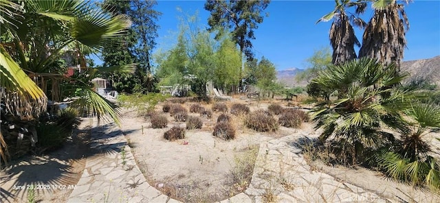 45342 State Highway 74, Hemet, CA 92544 - view of undeveloped land