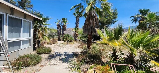 45342 State Highway 74, Hemet, CA 92544 - view of yard