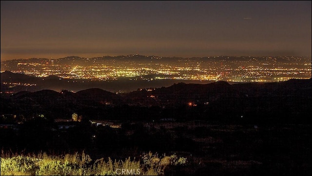 11345 Rayland Dr, Kagel Canyon, CA 91342 - photo 8