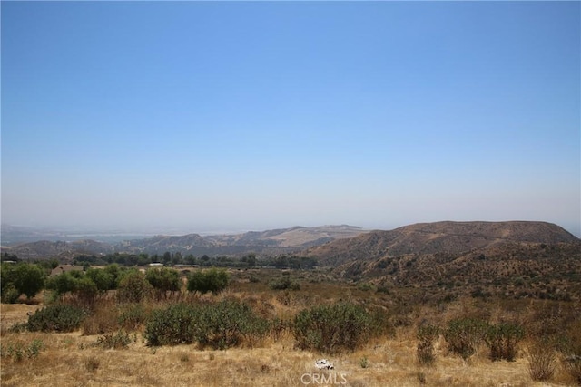 11345 Rayland Dr, Kagel Canyon, CA 91342 - photo 3