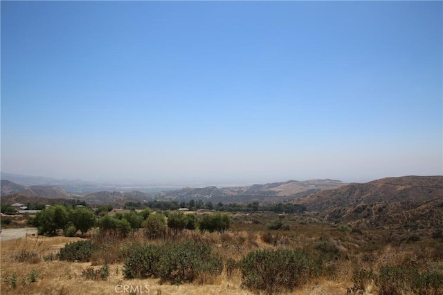 11345 Rayland Dr, Kagel Canyon, CA 91342 - photo 4