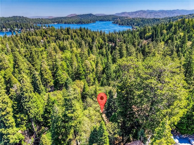 27941 Rainbow Dr, Lake Arrowhead, CA 92352 - photo 29
