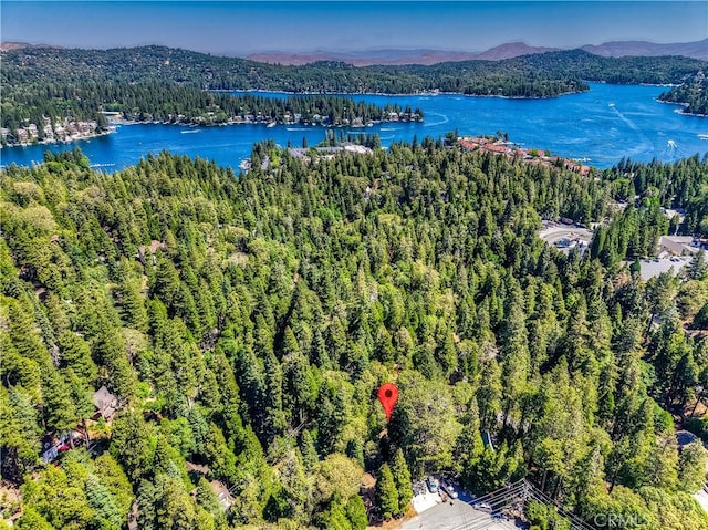 27941 Rainbow Dr, Lake Arrowhead, CA 92352 - photo 34
