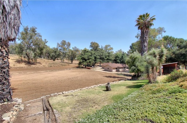1023 Fremont St, Calimesa, CA 92320 - view of yard