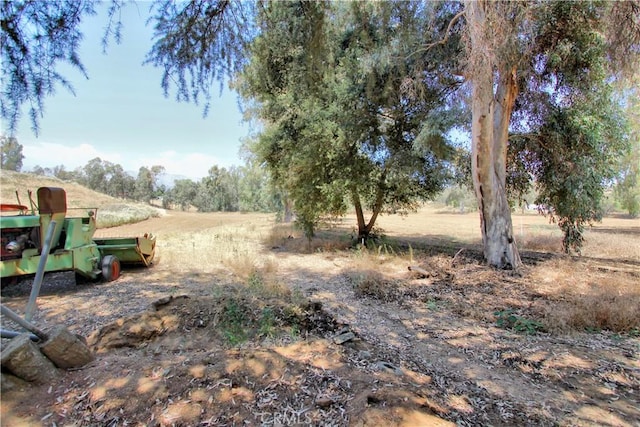 1023 Fremont St, Calimesa, CA 92320 - view of yard featuring a view of rural / pastoral area