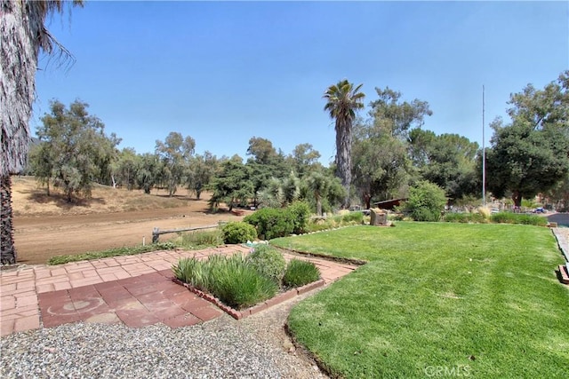 1023 Fremont St, Calimesa, CA 92320 - view of grassy yard