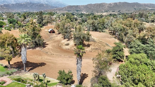 1023 Fremont St, Calimesa, CA 92320 - view of property location with mountains