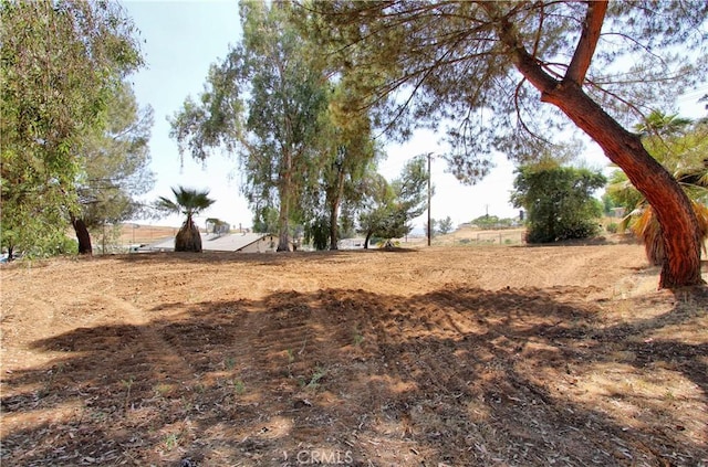 1023 Fremont St, Calimesa, CA 92320 - view of yard