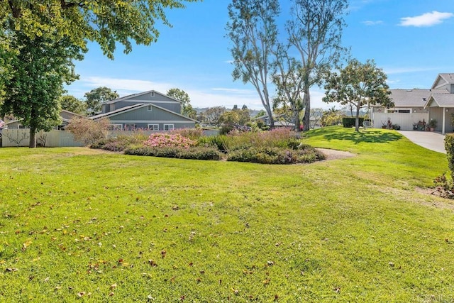1833 Stonebrook Ln, Encinitas, CA 92024 - view of yard