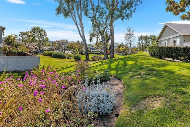 1833 Stonebrook Ln, Encinitas, CA 92024 - view of grassy yard