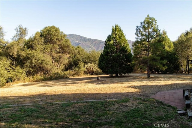 42179 High Point Ct, Ahwahnee, CA 93601 - view of yard with a mountain view