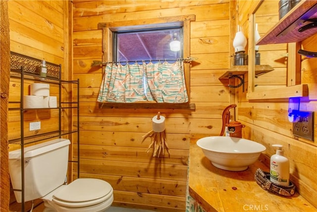 42179 High Point Ct, Ahwahnee, CA 93601 - bathroom with wooden walls and vanity
