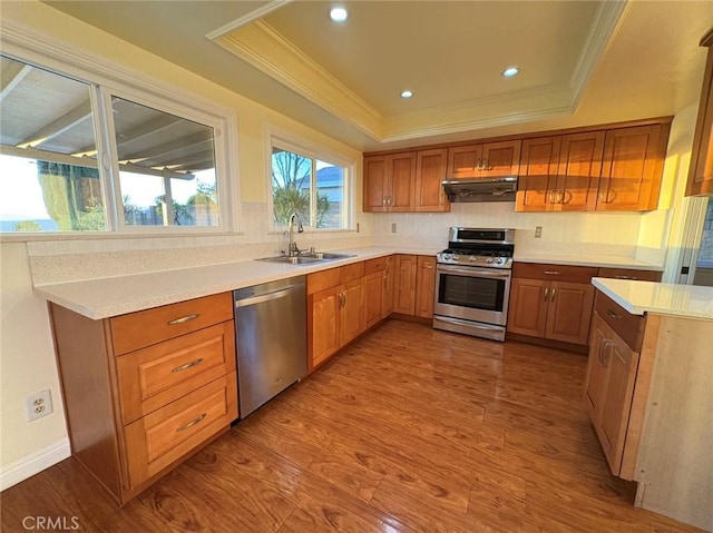 22407 Birds Eye Dr, Diamond Bar, CA 91765 - kitchen with stainless steel appliances, exhaust hood, ornamental molding, a raised ceiling, and wood finished floors