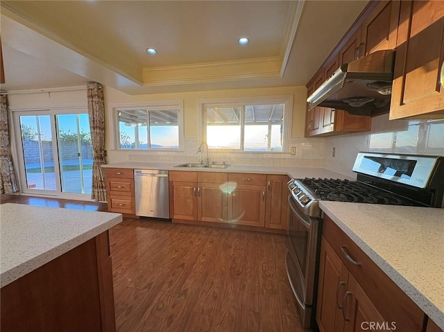 22407 Birds Eye Dr, Diamond Bar, CA 91765 - kitchen featuring stainless steel appliances, crown molding, a tray ceiling, under cabinet range hood, and dark wood-style floors