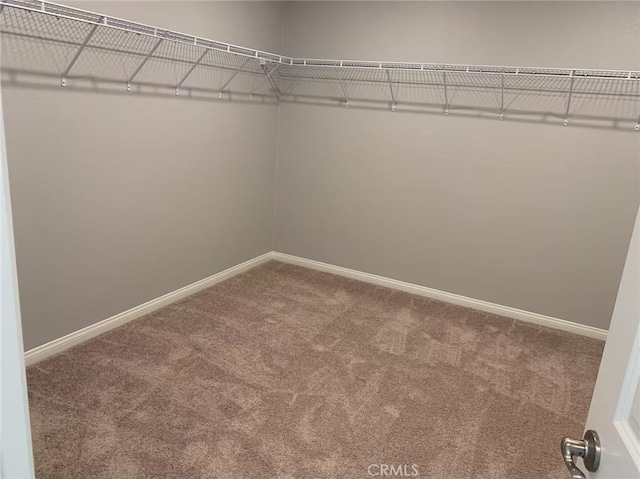 7453 Grazing Ln, Riverside, CA 92507 - walk in closet featuring carpet flooring