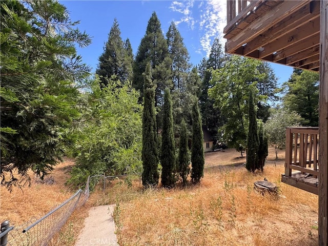 23789 Zuger, Crestline, CA 92325 - view of yard