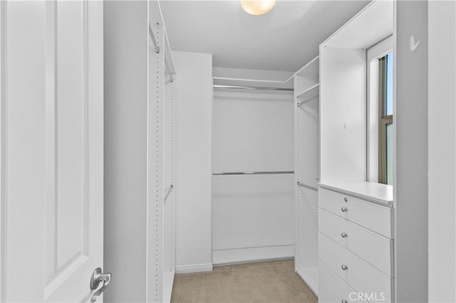 41 Keepsake, Irvine, CA 92618 - spacious closet with light carpet