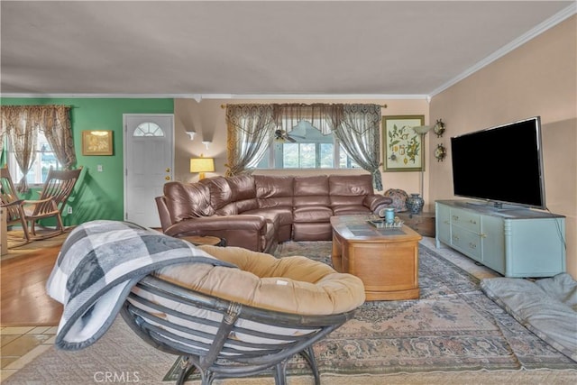 36227 Montezuma Valley Rd, Ranchita, CA 92066 - living room featuring crown molding