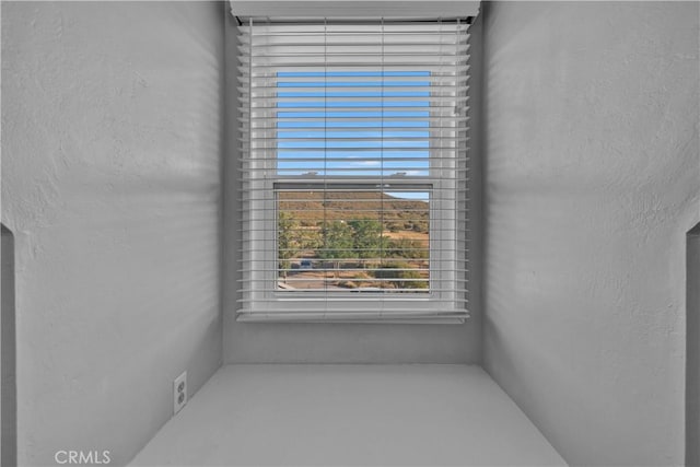 36227 Montezuma Valley Rd, Ranchita, CA 92066 - detailed view of stucco siding