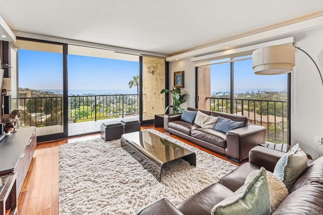 2500 Torrey Pines Rd Unit 805, La Jolla, CA 92037 - living area with hardwood / wood-style floors and a wall of windows