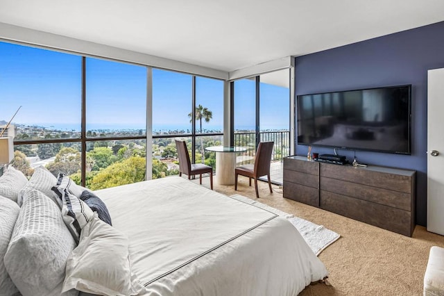 2500 Torrey Pines Rd Unit 805, La Jolla, CA 92037 - carpeted bedroom with expansive windows