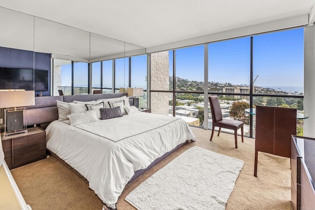 2500 Torrey Pines Rd Unit 805, La Jolla, CA 92037 - carpeted bedroom with a wall of windows and multiple windows