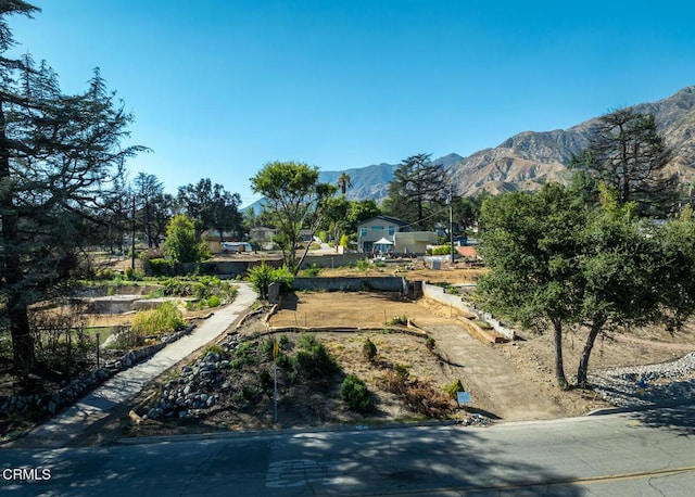 1077 E Palm St, Altadena, CA 91001 - photo 19