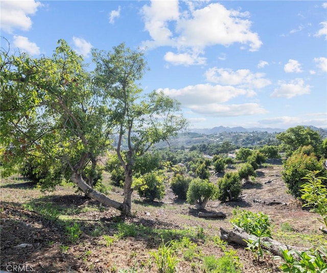 40620 Via Ranchitos, Fallbrook, CA 92028 - view of mountain background