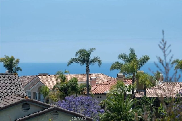 38 Toulon, Laguna Niguel, CA 92677 - water view
