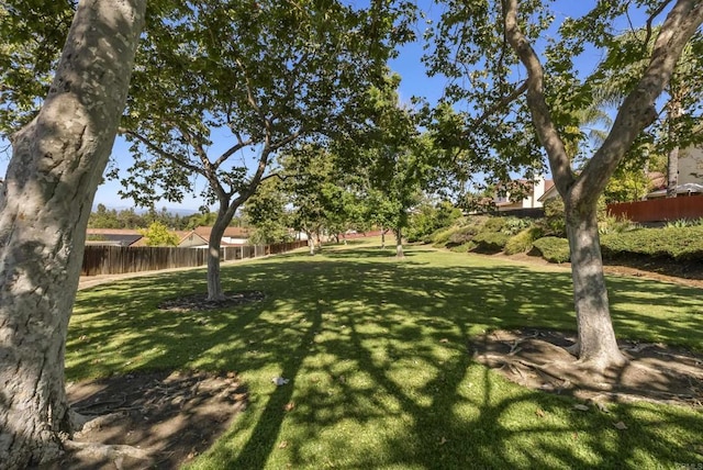 2009 Pointer Gln, Escondido, CA 92029 - view of yard