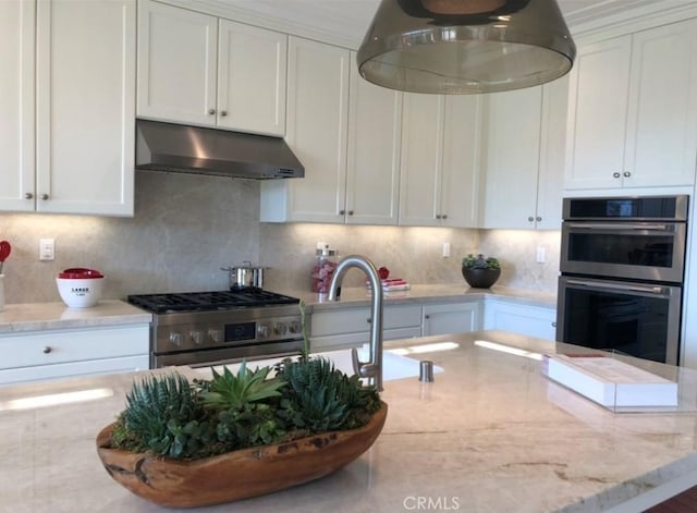 111 Omar, Irvine, CA 92620 - kitchen featuring under cabinet range hood, stainless steel appliances, white cabinets, and decorative backsplash
