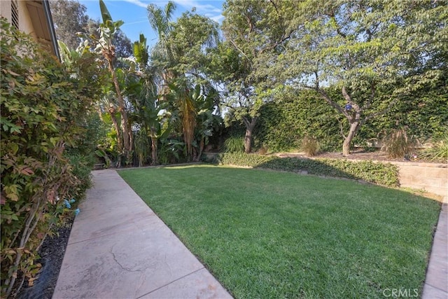 50 Amber Ct, Redlands, CA 92374 - photo 40