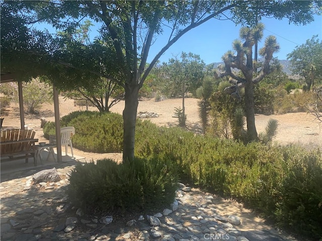 8978 Broken Spur Rd, Pinon Hills, CA 92372 - view of yard