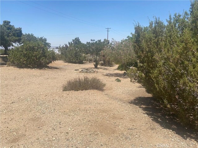8978 Broken Spur Rd, Pinon Hills, CA 92372 - view of nature